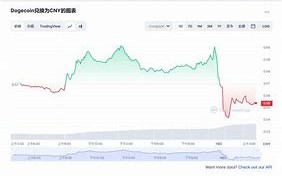 狗狗币未来达到100元狗狗币