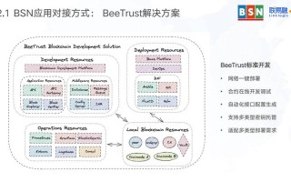 bsn区块链服务网络