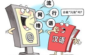 vy网络用语是什么意思