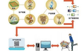 中国食品链区块链：构建透明、可追溯的食品安全体系