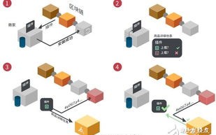 区块链系统的建立过程