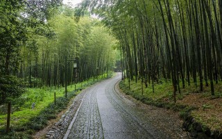 烟花三月下扬州，一场诗意盎然的江南之旅