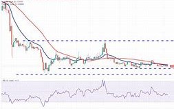 正方辩手观点狗狗币最新价格美元