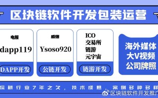 区块链最新项目大全探索技术前沿与应用创新

大纲