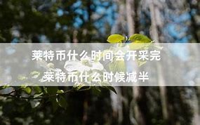 莱特币减半时间预测