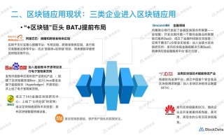 2020中国区块链应用top30