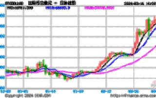 2013年比特币历史价格走势图