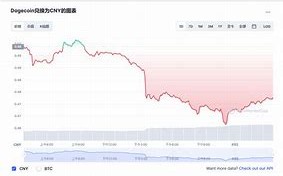 狗狗币现价数字货币市场的潜力与挑战