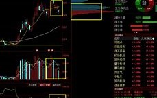 数字货币龙头是谁