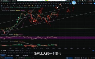 1.机构投资者的涌入