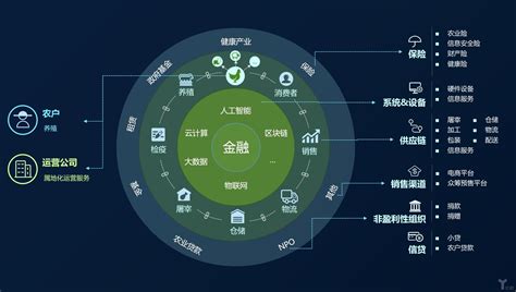 区块链技术在教育领域的应用实例-第1张图片-高峡链闻网