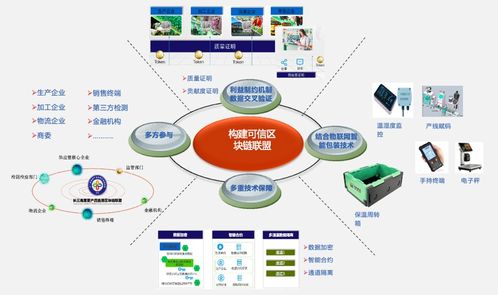 用英文介绍一下马云-第1张图片-高峡链闻网