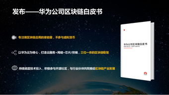 区块链的本质价值在于分布式-第1张图片-高峡链闻网