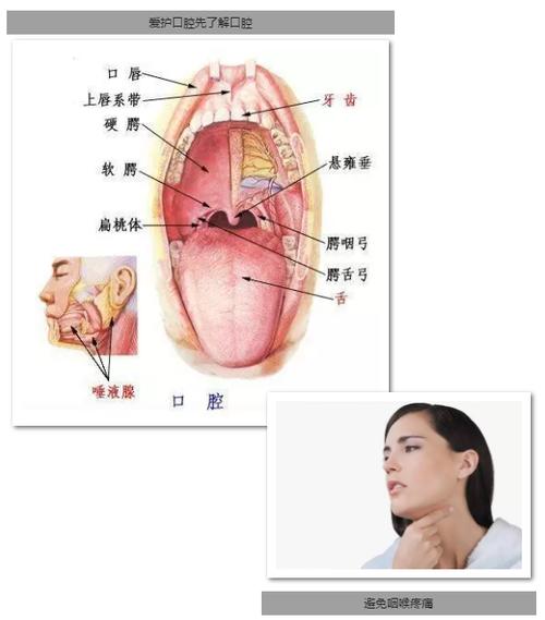 口腔是什么症状-第1张图片-高峡链闻网