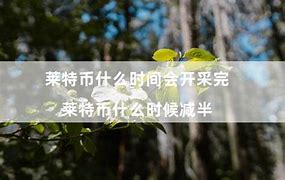 莱特币减半时间预测-第1张图片-高峡链闻网