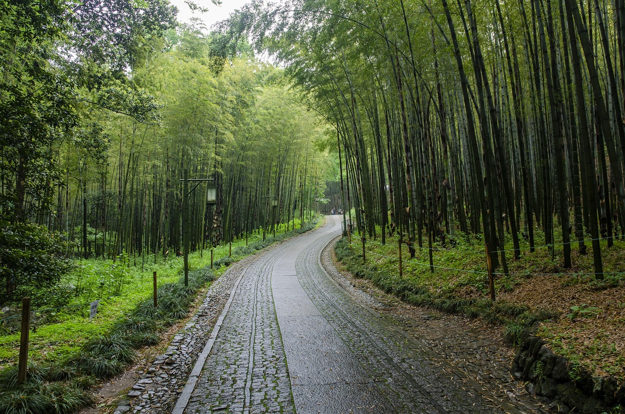 烟花三月下扬州，一场诗意盎然的江南之旅-第1张图片-高峡链闻网